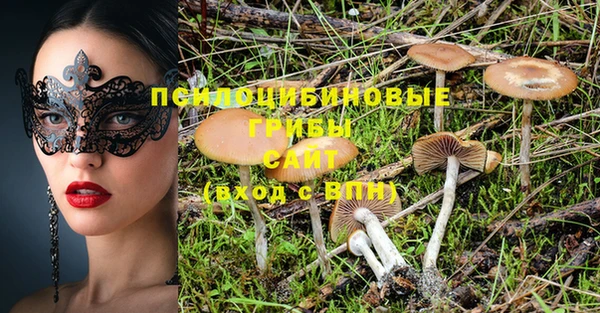 прущий лед Арсеньев
