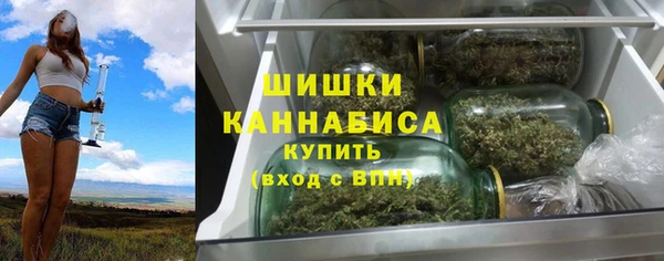 прущий лед Арсеньев