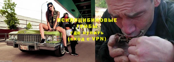 прущий лед Арсеньев