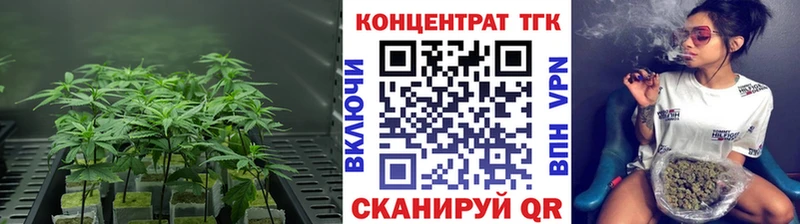 закладки  Старая Русса  Дистиллят ТГК концентрат 