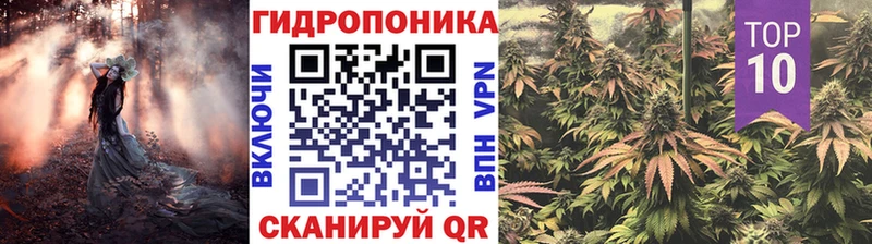 МЕГА как войти  Старая Русса  Канабис семена 